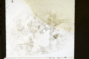 Plane Polarized, S79326