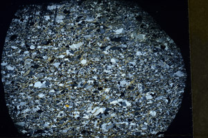 Cross Polarized, S79332