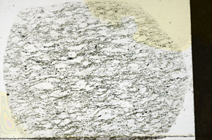 Plane Polarized, S79332