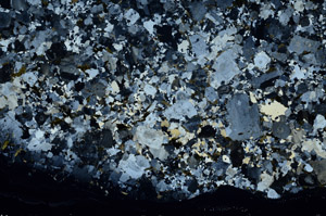 Cross Polarized, S79364