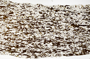 Plane Polarized, S79366