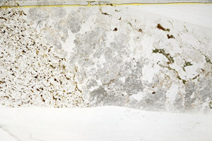 Plane Polarized, S79393