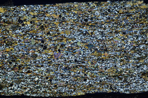 Cross Polarized, S79405