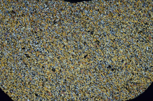 Cross Polarized, S79421