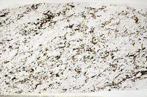 Plane Polarized, S79424