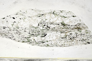 Plane Polarized, S79446