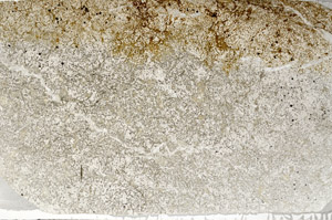 Plane Polarized, S79505