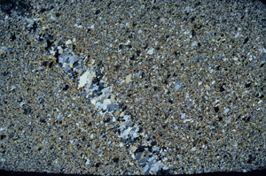 Cross Polarized, S79564