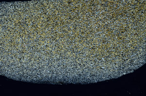Cross Polarized, S79568
