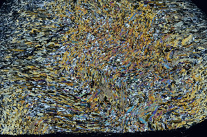 Cross Polarized, S79570