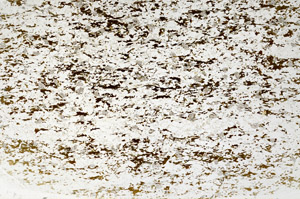 Plane Polarized, S79582