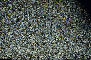 Cross Polarized, S79584