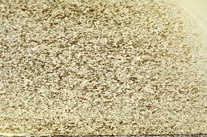 Plane Polarized, S79584