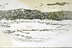 Plane Polarized, S79586