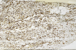 Plane Polarized, S79599
