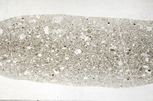 Plane Polarized, S79623