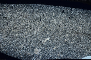 Cross Polarized, S79631