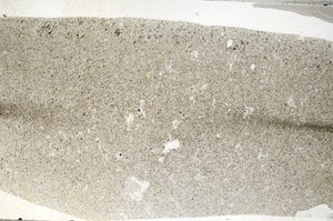 Plane Polarized, S79631