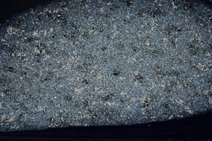 Cross Polarized, S79633