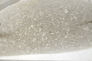 Plane Polarized, S79633