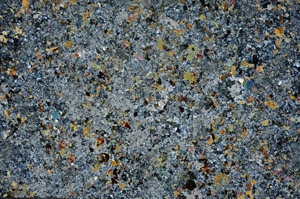 Cross Polarized, S79636