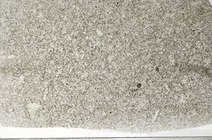 Plane Polarized, S79638