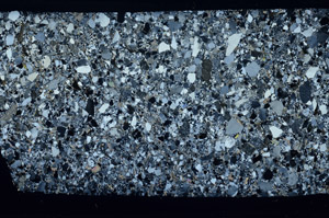 Cross Polarized, S79644