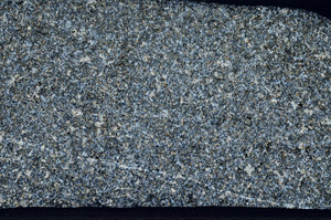 Cross Polarized, S79650