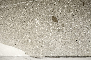 Plane Polarized, S79653