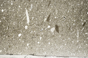 Plane Polarized, S79654