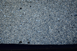 Cross Polarized, S79655