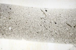 Plane Polarized, S79657