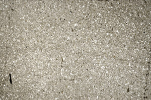 Plane Polarized, S79658