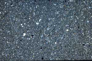 Cross Polarized, S79662/A