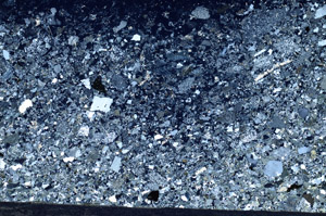 Cross Polarized, S79664