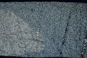 Cross Polarized, S79684