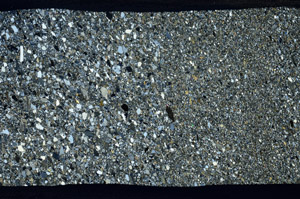 Cross Polarized, S79687
