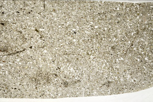 Plane Polarized, S79694