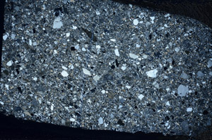 Cross Polarized, S79698