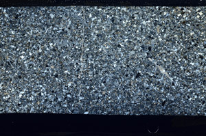 Cross Polarized, S79703