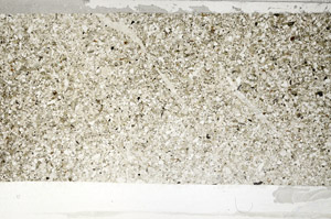 Plane Polarized, S79703