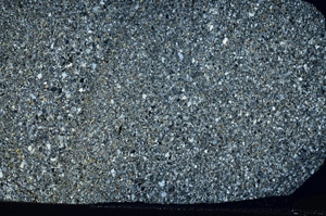 Cross Polarized, S79708