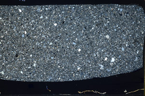 Cross Polarized, S79782