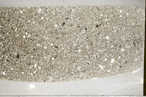 Plane Polarized, S79782