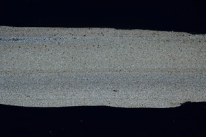 Cross Polarized, S79851