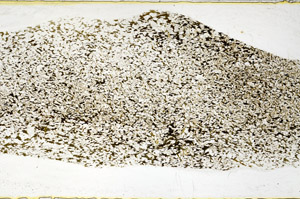 Plane Polarized, S80003