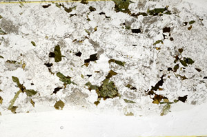 Plane Polarized, S80006