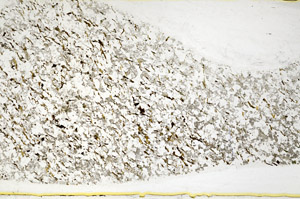 Plane Polarized, S80013