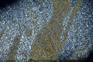 Cross Polarized, S80206