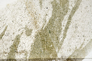 Plane Polarized, S80206